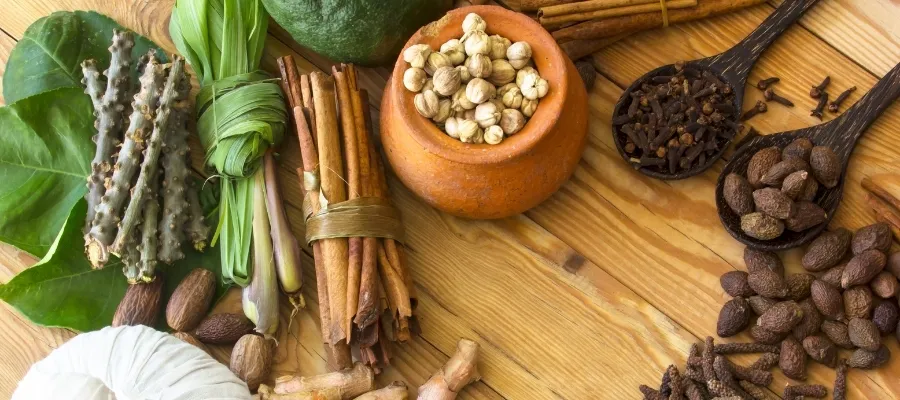 ayurveda-yaşam-bilimi-nedir-arguntc.webp