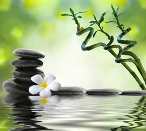 reiki-sembollerinin-anlamlari-nedir-ve-nasil-kullanilir-3.webp