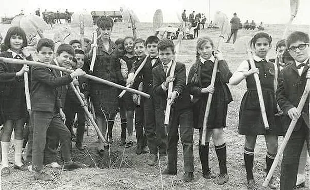 ODTÜ ormanına ağaç dikilirken, Ankara, 1960.webp