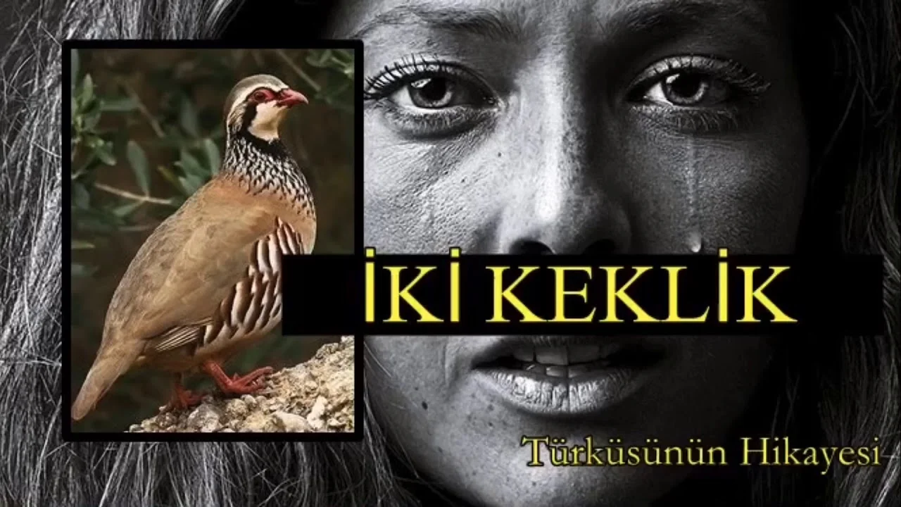 iki-keklik-türküsünün-hikayesi-arguntc.webp