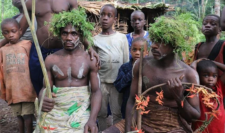 Ruyada-Afrikali-gormek.webp