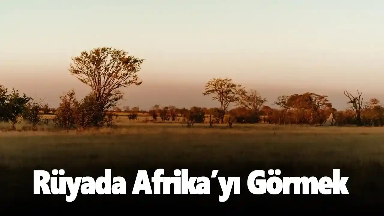 rüyada-afrikayı-görmek.webp