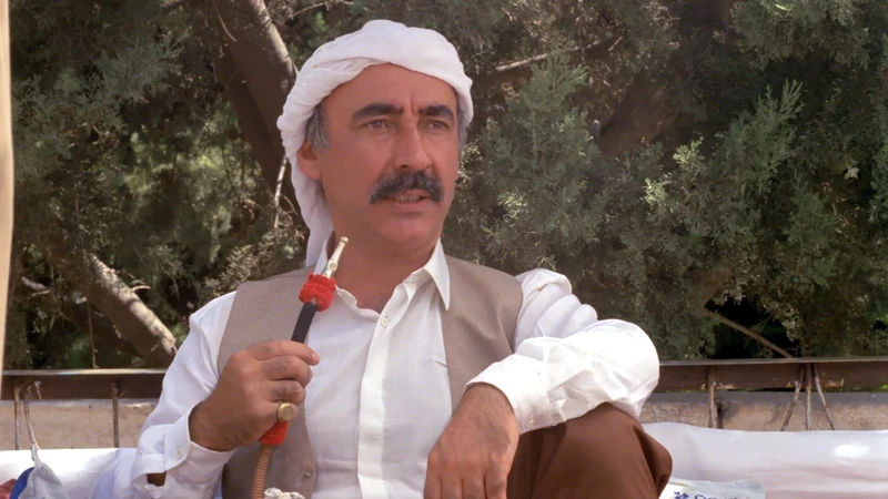rüyada-ağa-görmek.webp