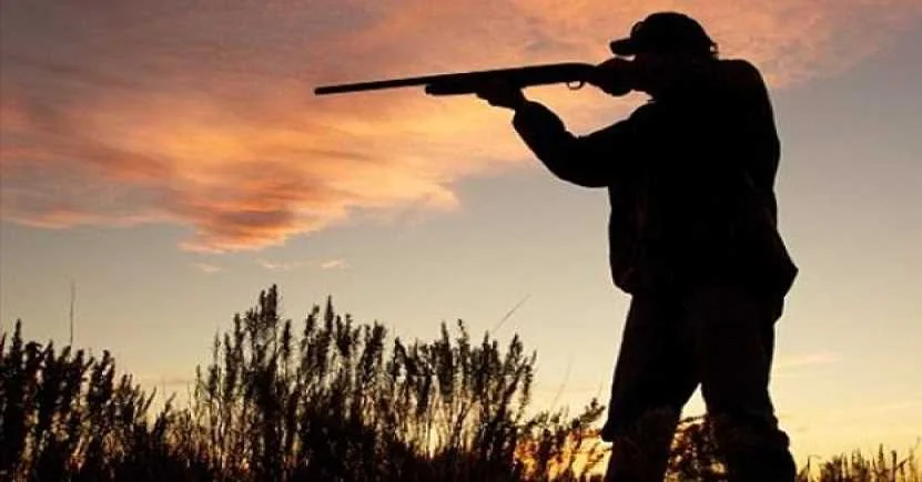 Rüyada Avlanmak.webp